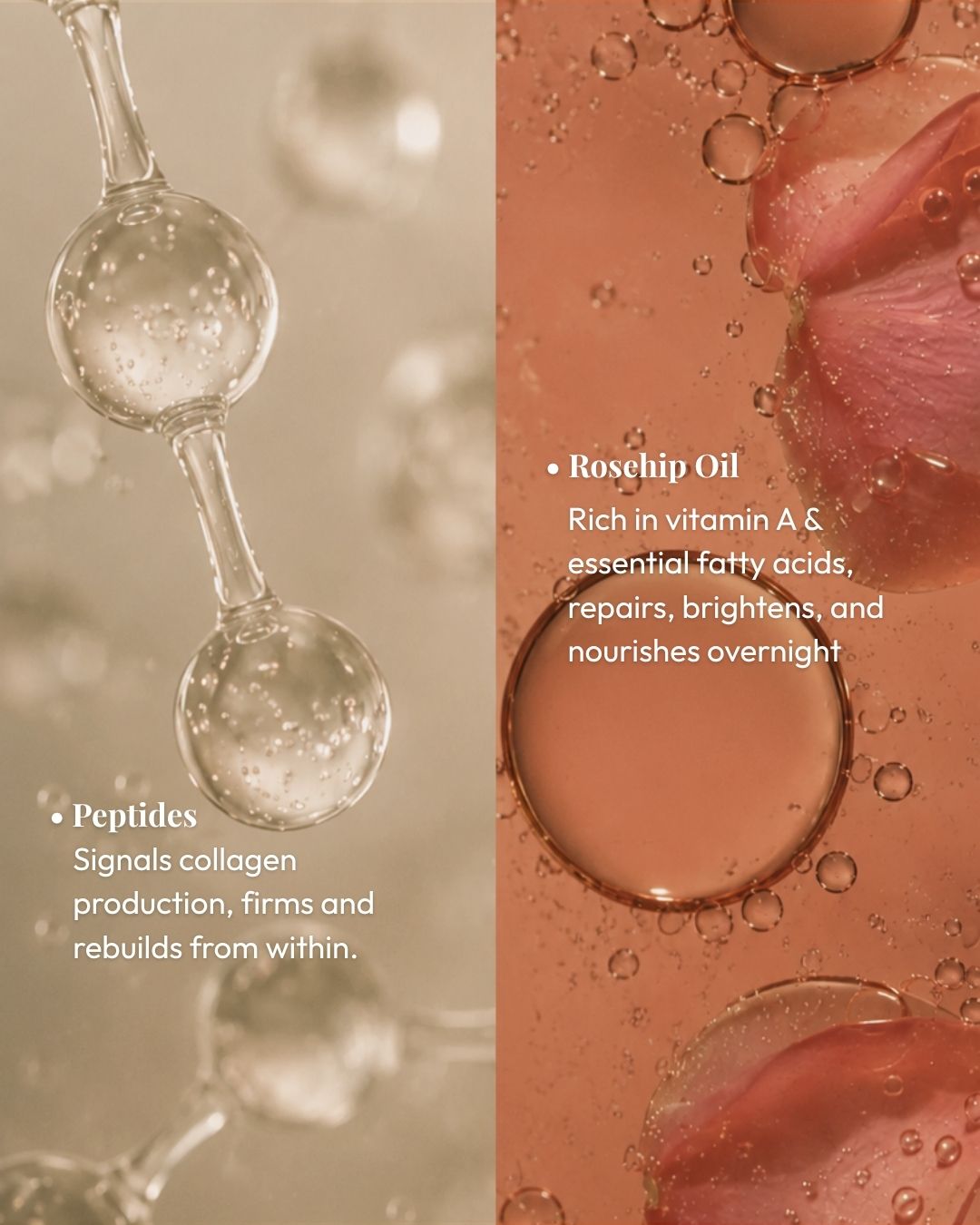 Bakuchiol, Peptides, and Rosehip ingredients in Kullen Eterna Oil