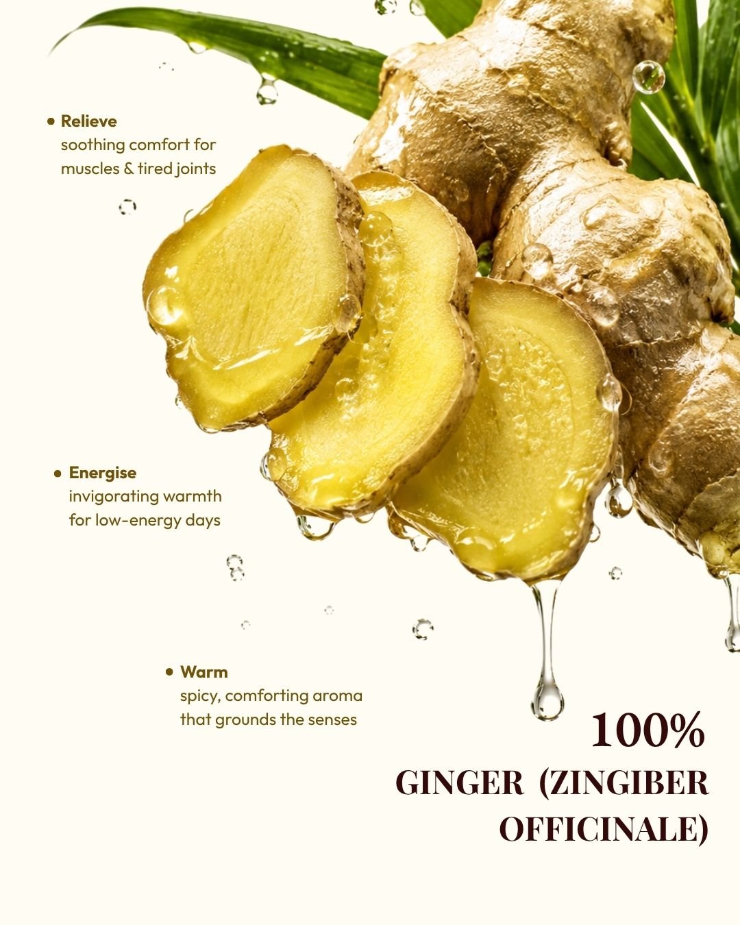 Ginger Essential Oil | 100% Pure & Natural | 15ml - KullenGinger Essential Oil | 100% Pure & Natural | 15mlEssential Oils