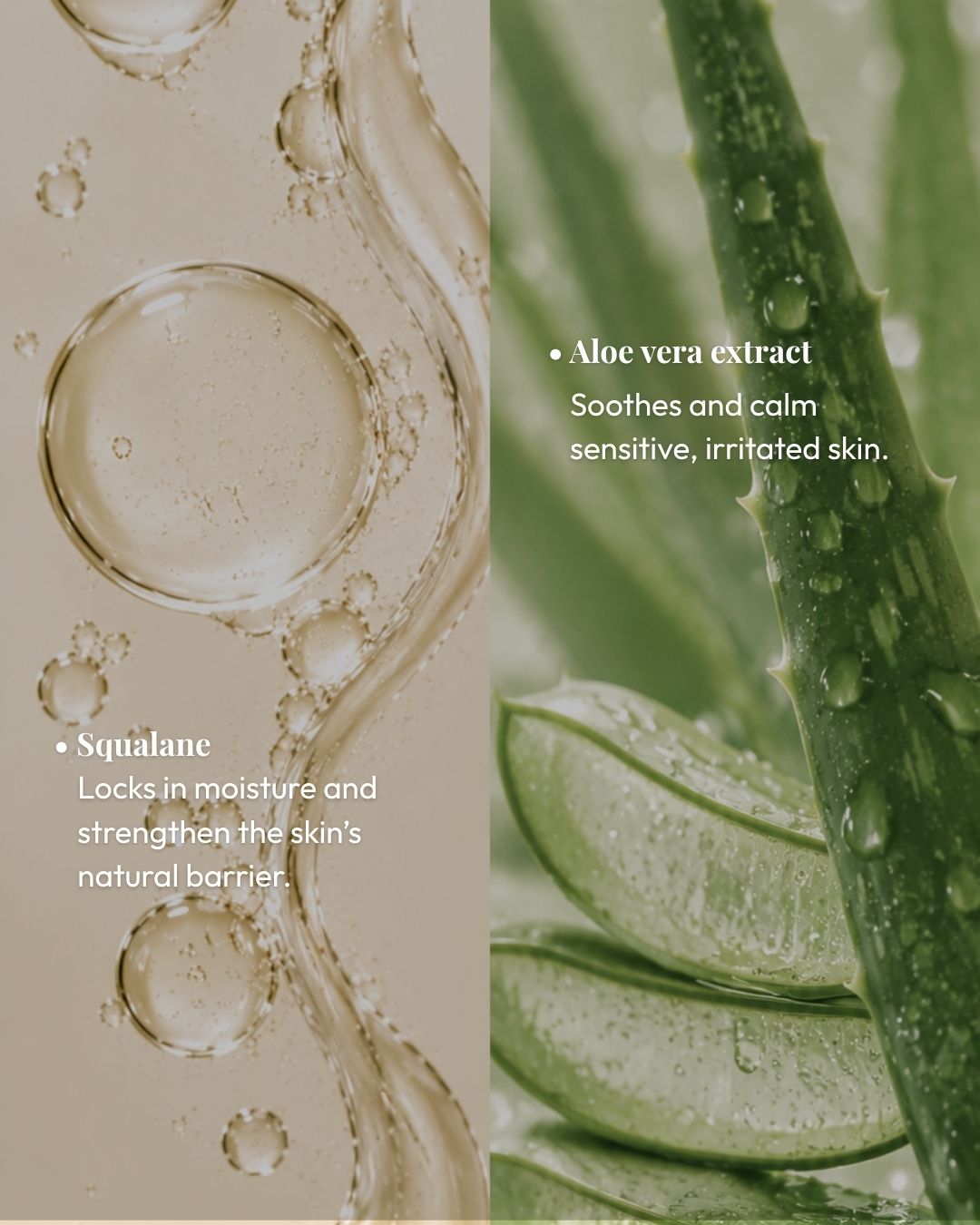 Hydrae Barrier Serum with Squalane & Hyaluronic Acid | 30ml - Kullen Ingredient shot: Squalane and Hyaluronic Acid ingredients in Kullen Hydrae Serum