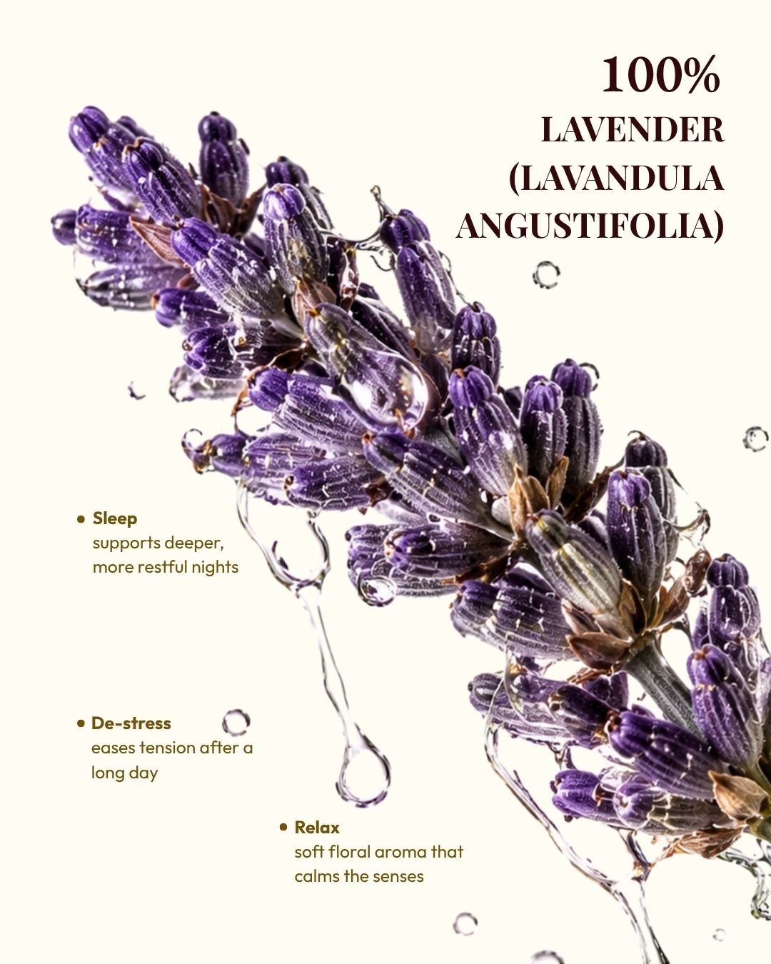 Lavender blooms used in Kullen Lavender Essential Oil
